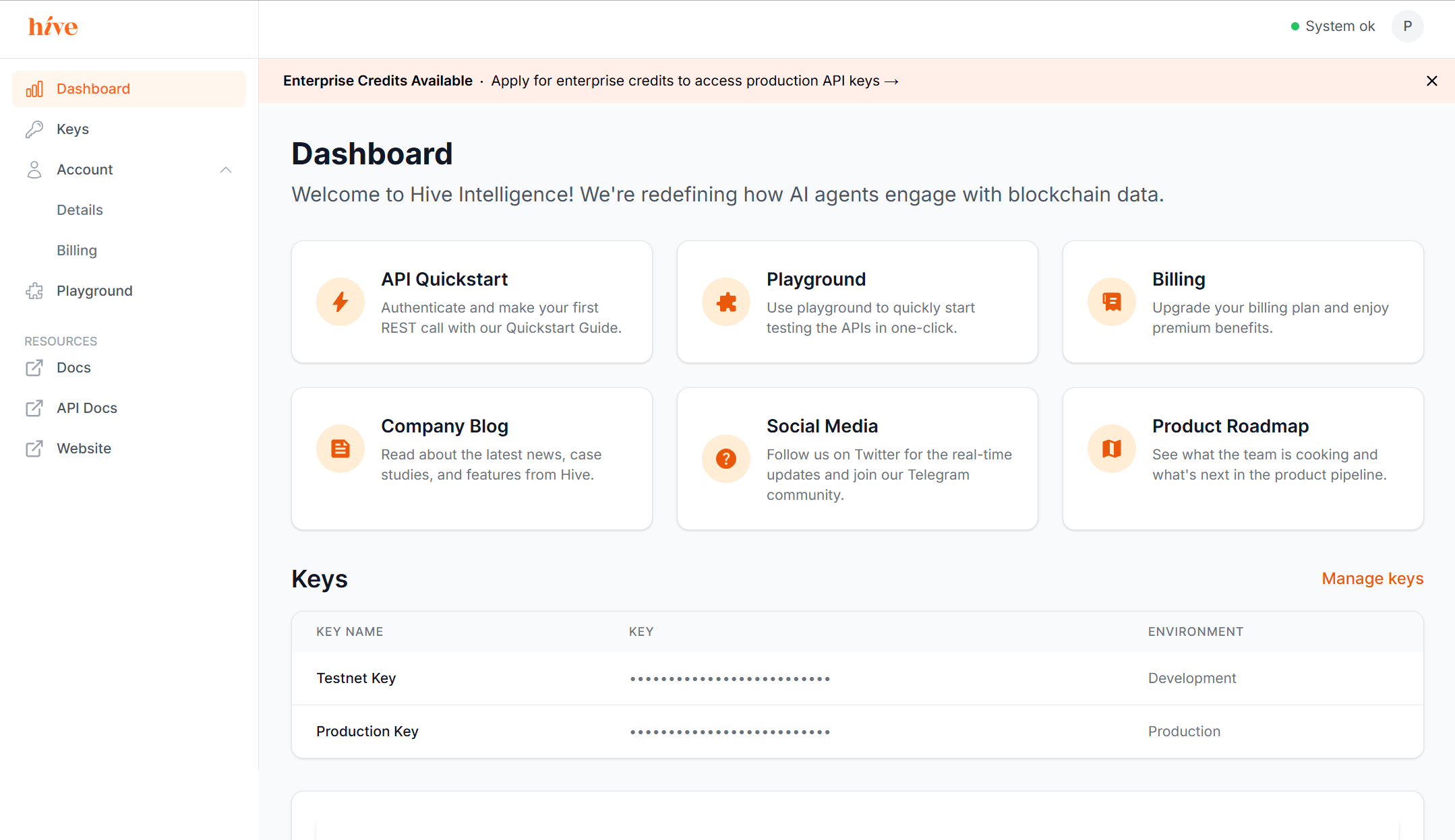 Hive Intelligence MCP Dashboard showing API key management and blockchain data integration interface